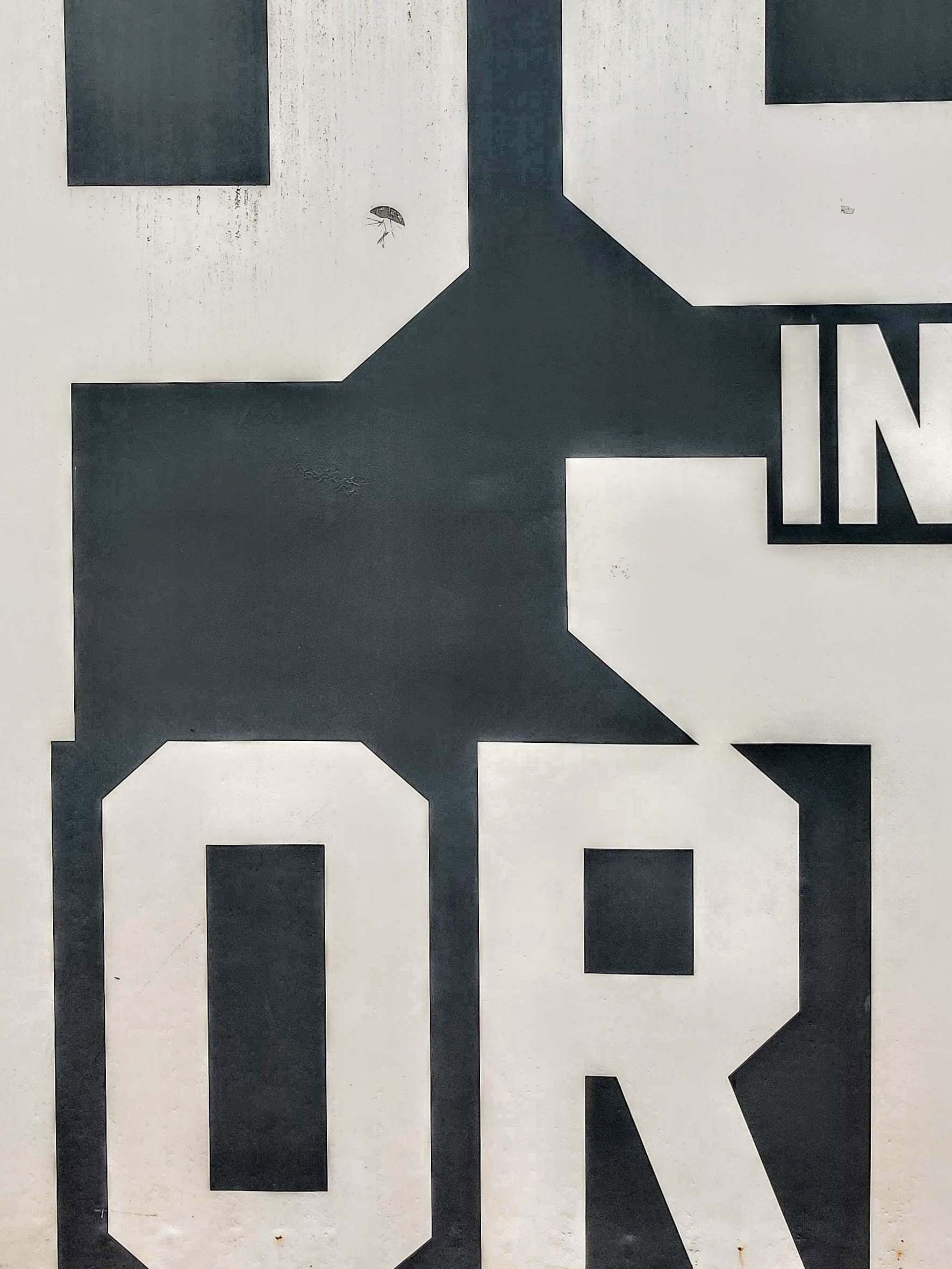 A closeup shot of large text over a black background. What it says is unclear, but it looks like parts of a P, S, the word "in", and an O and an R.