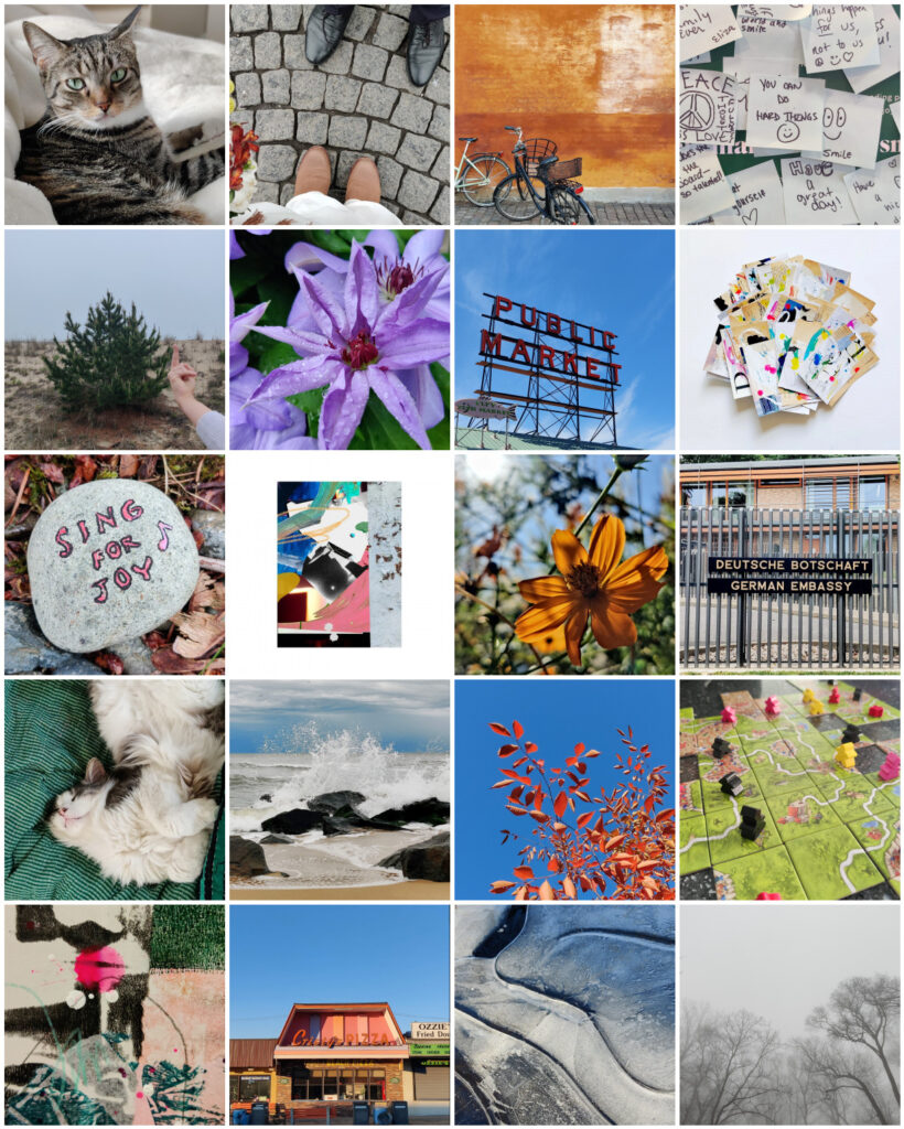 A grid of twenty photos taken throughout the year. They include: a tabby cat; feet of a bride and groom on cobblestone; a orange wall and bikes; several notes; one of which says "You can do hard things"; a pine tree that looks like it's giving multiple middle fingers, and an arm and hand giving the middle finger back to the tree; a purple flower; the sign at Pike's Market in Seattle; a pile of mixed media ICAD cards; a stone with the message "Sing for joy" written on it; a digital collage; a backlit orange flower; the sign to the German embassy; a very happy sleeping cat; the ocean; red autumn leaves against a blue sky; board game pieces; details of a mixed media piece; a storefront at the beach; river ice; trees in fog.